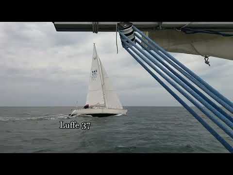Luffe 37