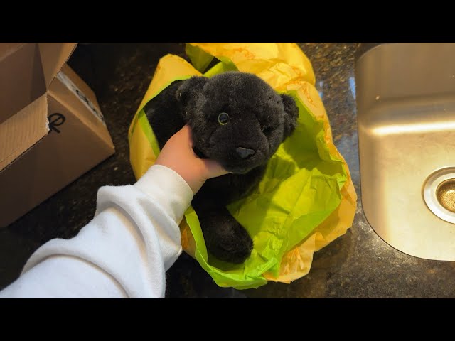 Vídeo relacionado con Teddy Hermann Herzekind 93917 Cordero Oveja Maggi 27 cm, Peluche