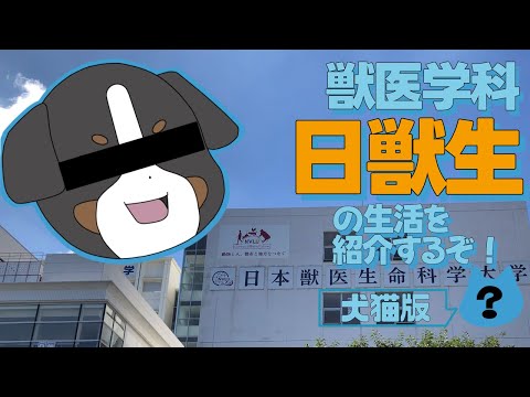 動物科学科 【獣医学科】受験生必見！？にちじゅう守衛室の犬猫が日獣生の生活を紹介するぞ！