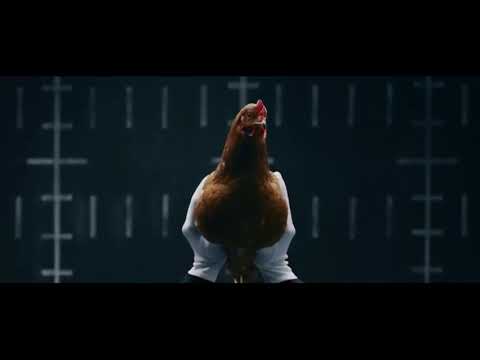 Still frame from Chicken (Mercedes-Benz, 2013)