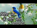 Chiraiya La Ke Goti Maro Chhattisgarhi Geet