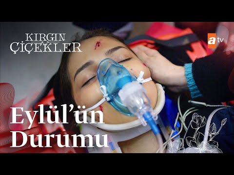 Arama kurtarma çalışmaları sonucu Eylül bulunuyor! - Kırgın Çiçekler 81. Bölüm