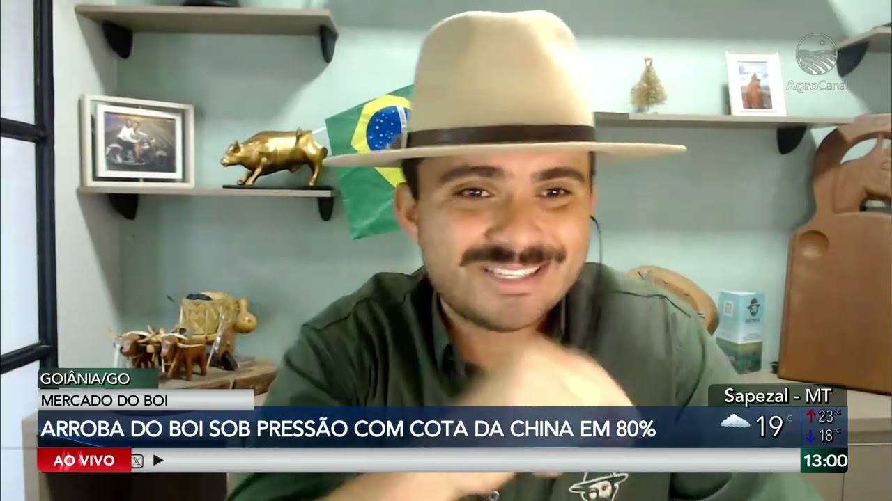Arroba do boi gordo segue pressionada com cota de exportação para a China próxima do limite