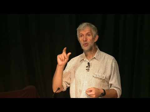 Life Cycles of Wasps and Hornets