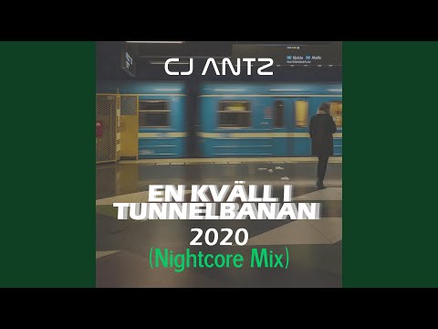 En Kväll I Tunnelbanan (Nightcore Edit)