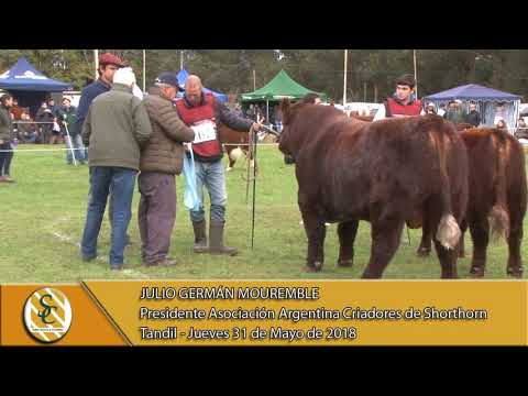 31-05-18 Nota Julio G. Mouremble - Pdte. A.A.C. Shorthorn - Expo. Hereford - Tandil.