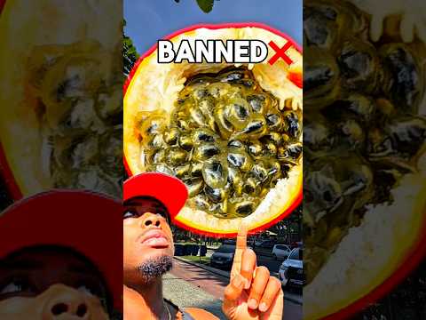 This rare fruit almost got me arrested #exoticfruit #rarefruits #shorts #fruit #fruithustler