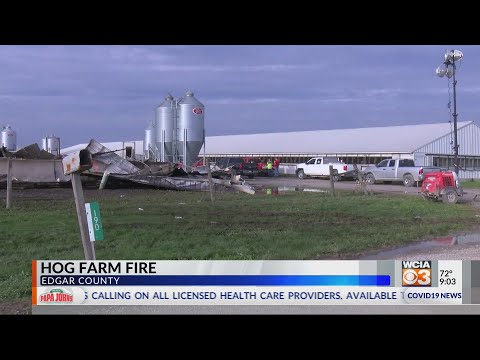 Pig farm fire