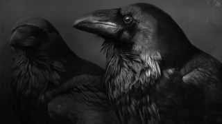 Music video thumbnail preview for Raventale - My Birds Of Misfortune by Raventale