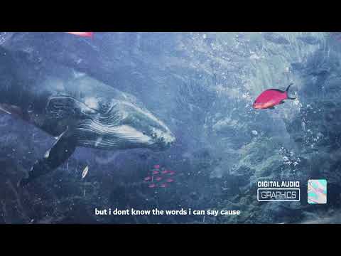 edacity - love me dont hate me [official lyrics]