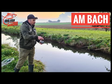 Christian am Bach - Aktives Angeln mit Naturköder