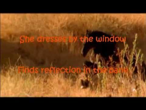 Flying As She Falls cover