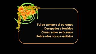 Amália Rodrigues - Libertação