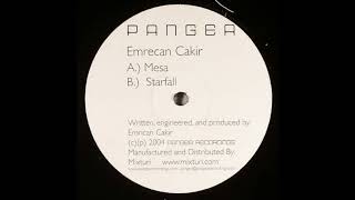 Emrecan Cakir - Starfall