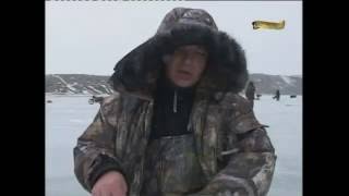 Рыбалка в волгоградской области пятиизбянка