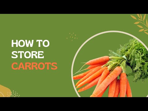 , title : 'How to Perfectly Store the Carrots in the fridge? | Keep them Fresh for the Longest Time'