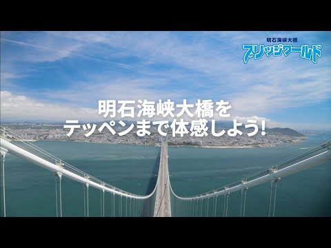 海峡ブリッジのリストについて詳しく解説