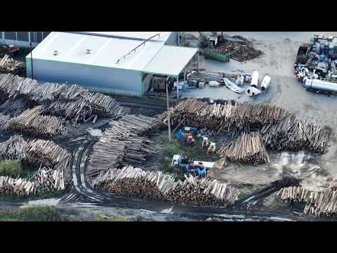 Lemn din Parcul Național Cheile Bicazului-Hășmaș ajunge la fabrica de peleți Ameco