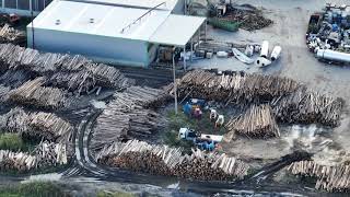 Lemn din Parcul Național Cheile Bicazului-Hășmaș ajunge la fabrica de peleți