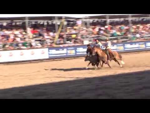 JA Libertador e Jotace Utopia conquistam o Freio de Ouro 2015