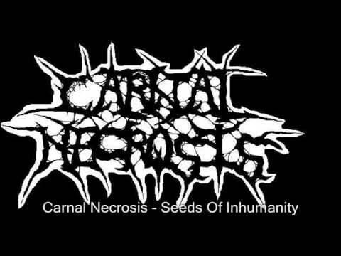 Carnal Necrosis - Seeds Of Inhumanity (lyrics in description)