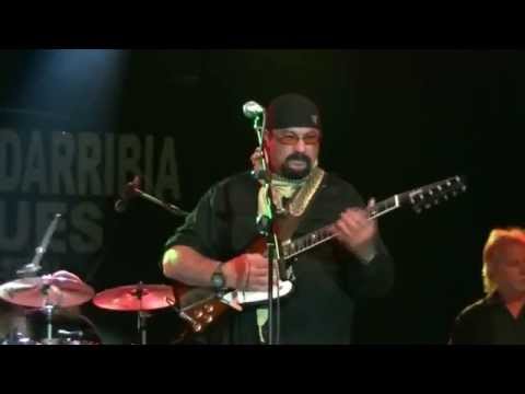 Steven Seagal Blues Band. Live (2014)