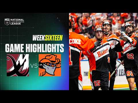 youtube video highlights