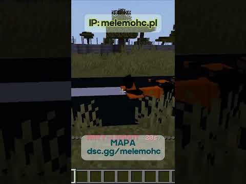 Insane Minecraft Madness: Flying a Plane! #epic