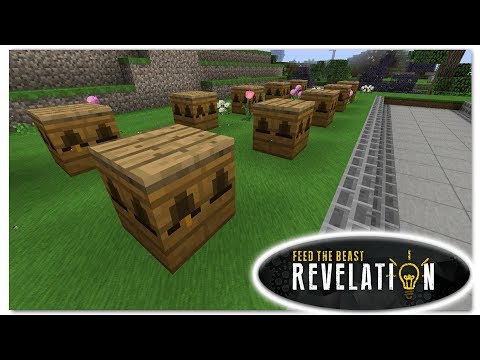 Starting Forestry Bee Breeding - FTB Revelation - Episode 10