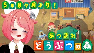 【 あつまれどうぶつの森 / ゲーム実況 】案内所が新しく出来たみたいなのでえ、見に行きますよおっ♪【 真園あきら / サンドバッグ実験施設 】
