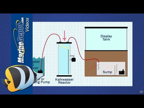 So verwenden Sie einen Kalkwasserreaktor zur Aufrechterhaltung von Kalzium und Alkalinität