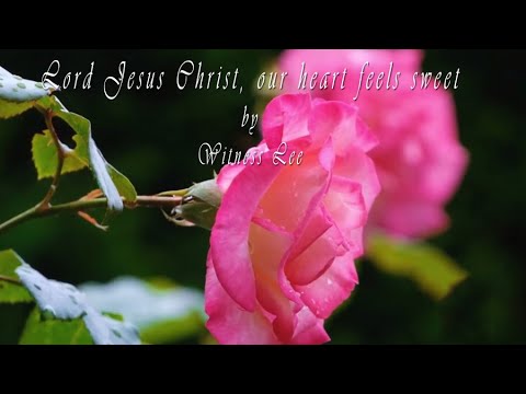 Lord Jesus Christ our Heart feels sweet by Witness Lee