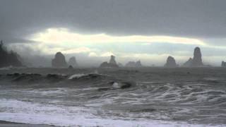 Max Elto - Backyard Animals (Michael Cassette remix)