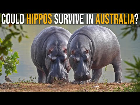 Australia