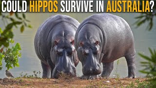 Australia Music Video