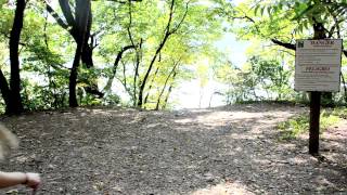 &quot;Freight Train&quot; performed by Sara Jackson-Holman