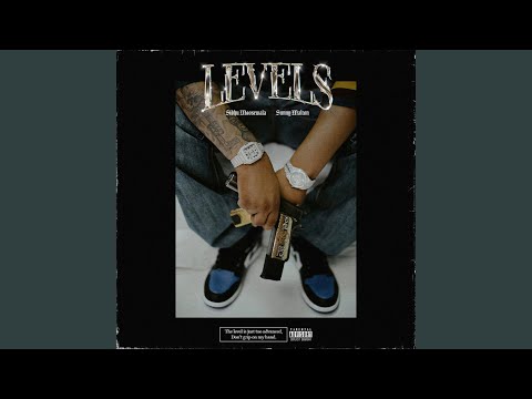Levels — watch video