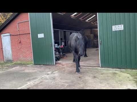 Bijke na de smid 02-11-2020