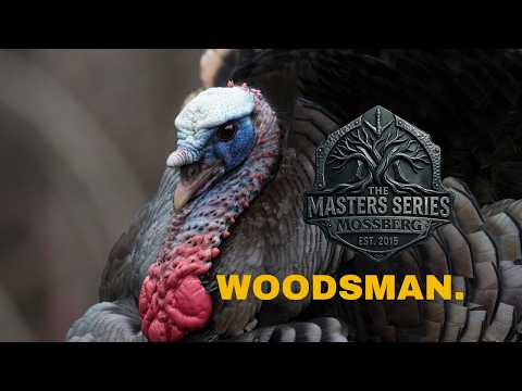 Stop Calling. Start Hunting. Mastering Turkey Hunting
