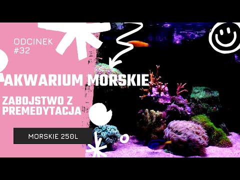 #32 Akwarium Morskie 250l - Aktualizacja, zabójstwo z premedytacją #akwarystyka #akwarium