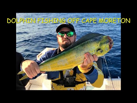 Fishing the (FAD) off Cape Moreton chasing Dolphin Fish (MAHI MAHI)