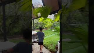 小魔女🧙‍♀️食記｜花蓮市區｜NO.7 PANE｜韓風｜高質感｜下午不休息|咖啡|輕食｜餐飲