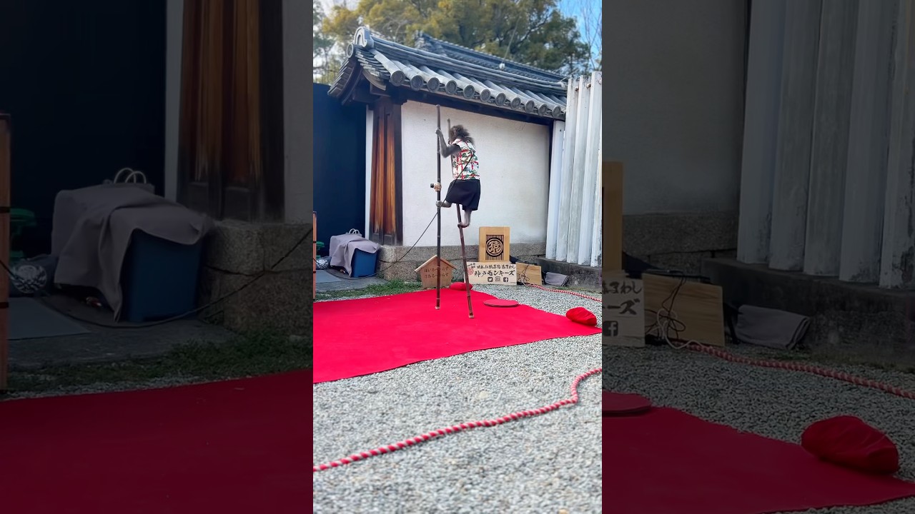 Osaka Japan Plum Blossom Festival and Monkey Circus 🌸🐒