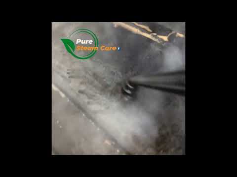 Pure Steam Care video.