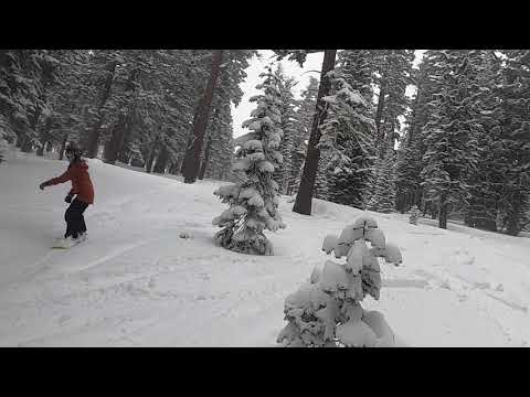 Northstar Challenger Powder