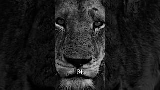 Your Goals Should Scare You A Little