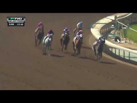 RACE REPLAY: 2016 Melair Stakes Featuring Enola Gray