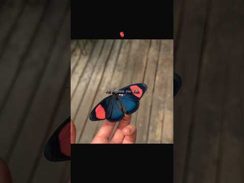 ‎Mann Mera (Video Song) | Table No.21 | Tina Desai & Rajeev Khandelwal