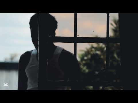 Flashy - D.low the Great ft Venom 536 (Official Visualiser)