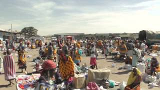 Basecamp Foundation  Pioneering Sustainable Tourism in Kenya&#39;s Masai Mara HD